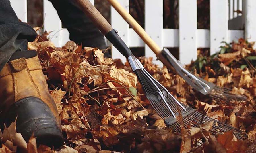 spring and fall yard clean ups hamilton ontario