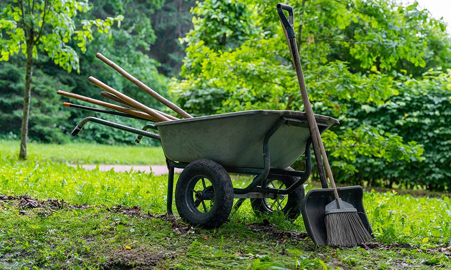 save 15% on fall yard clean ups hamilton ontario