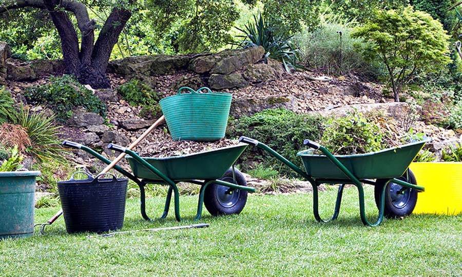 yard cleanup services hamilton