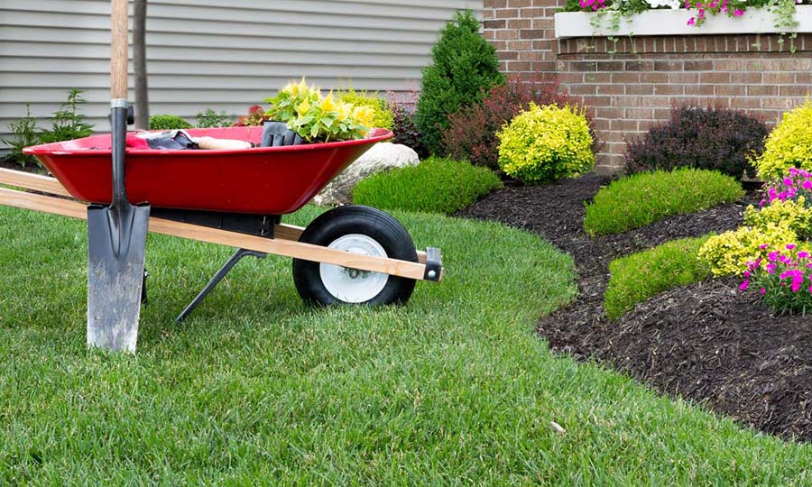 garden maintenance services hamilton
