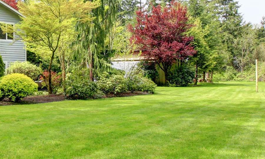 lawn care hamilton ontario