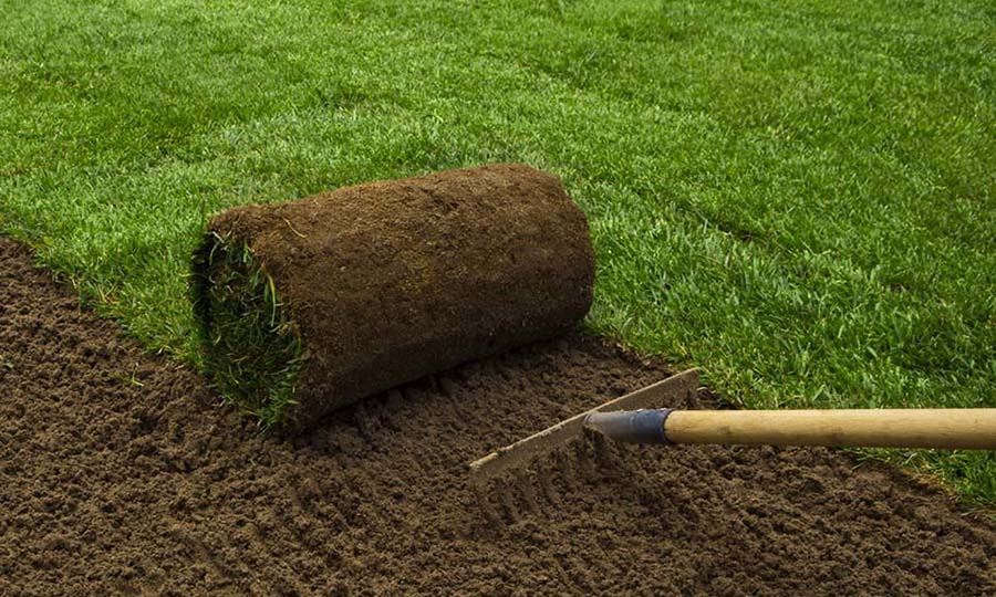 Sod installation and repair hamilton ontario