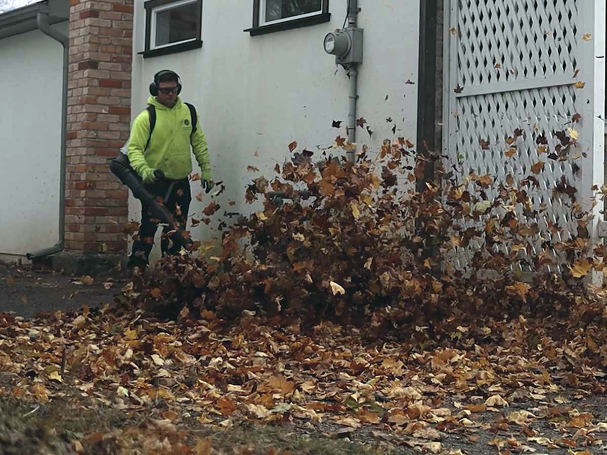 fall yard clean up