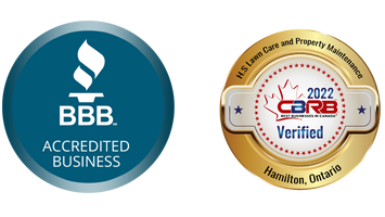 BBB Accredited Business and Awards