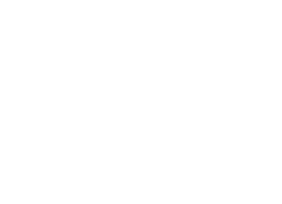 icon snow