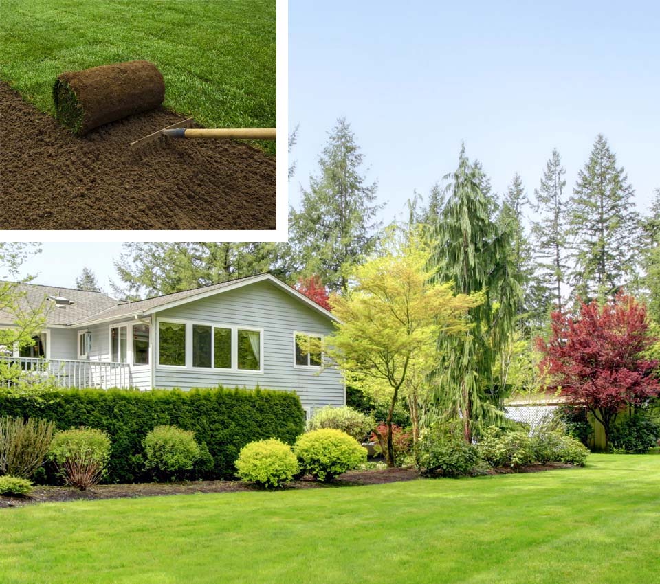 sod installation burlington ontario