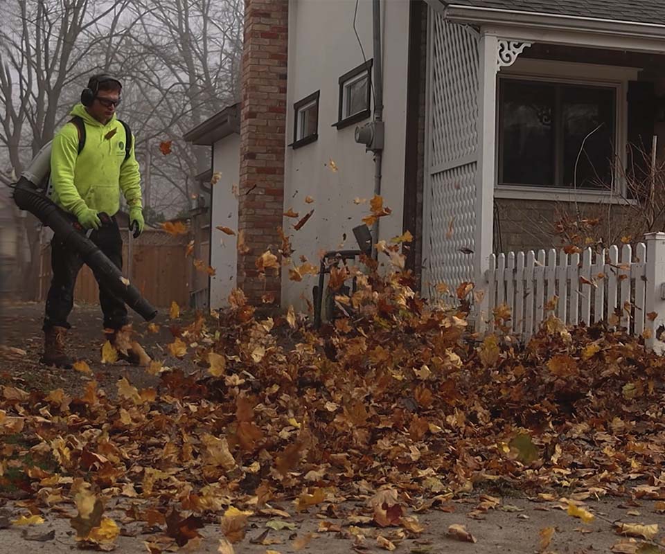 Fall yard clean up services